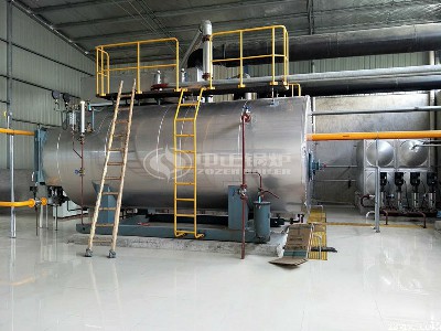 江蘇大型天然氣供熱鍋爐 　